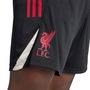 Liverpool Training Shorts 2025 2026 Adults