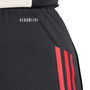 Liverpool Training Shorts 2025 2026 Adults