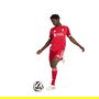Liverpool Authentic Home Shirt 2025 2026 Adults