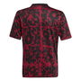 Liverpool Pre Match Shirt 2025 2026 Juniors