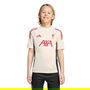 Liverpool Training Shirt 2025 2026 Juniors