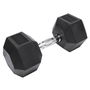 Hexagonal Dumbbell for Home Workouts