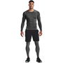 Armour HeatGear® Leggings Mens