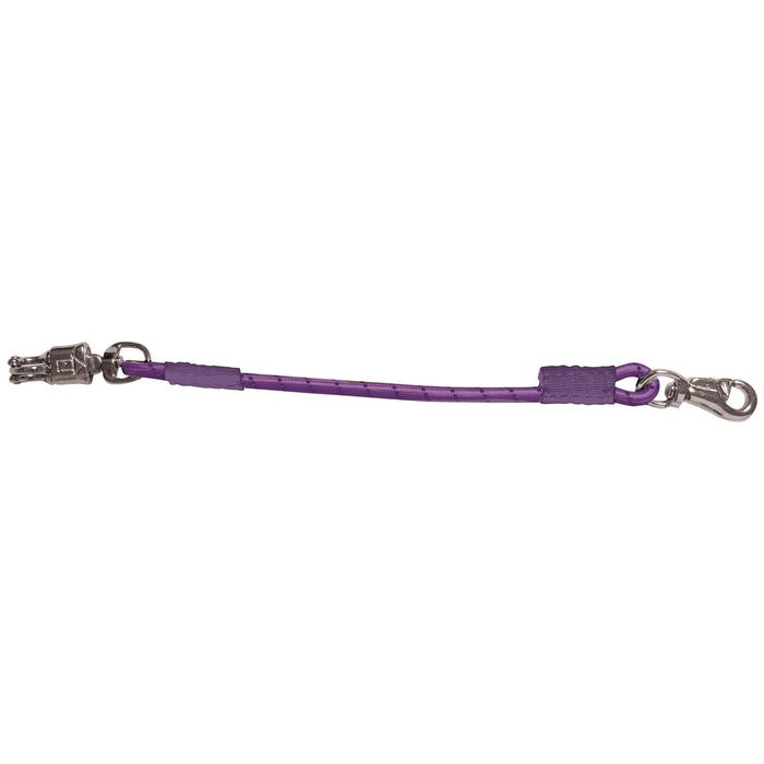 Bungee Trailer Stable Tie