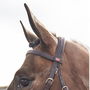 Ready To Ride Snaffle Bridle