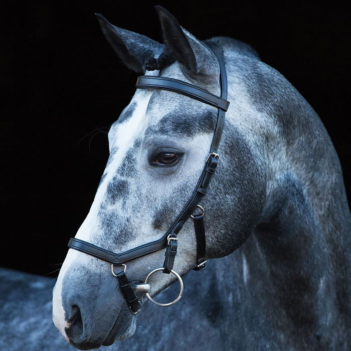 Micklem Multi Bridle