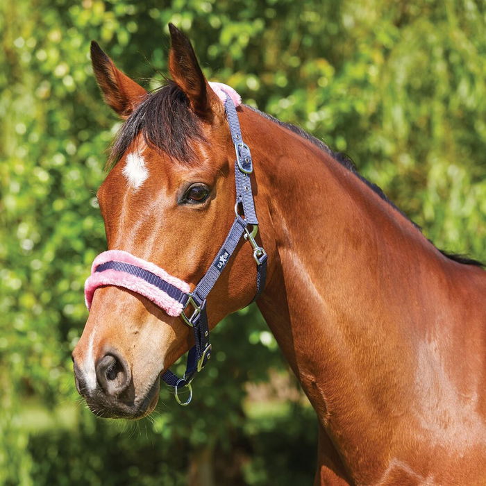 Element Fleece Headcollar