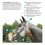 ComFiTec Training Bridle