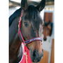 Padded Head Collar