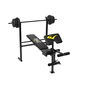 Weight Bench Adults