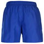 Core Swim Shorts Mens