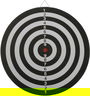 Mini Coiled Paper 12 Inch Dartboard