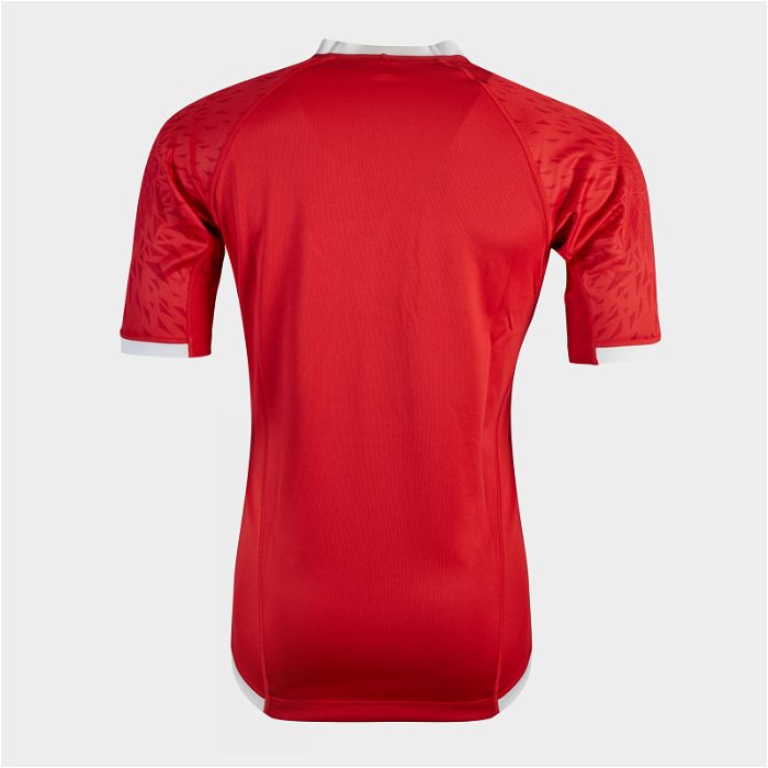 British and Irish Lions Pro Rugby Shirt Tango Red