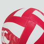 British and Irish Lions Supporters Rugby Ball