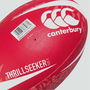 British and Irish Lions Supporters Rugby Ball