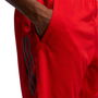 3 Stripes 9 Inch Mens Rugby Shorts