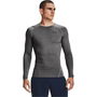 Armour HeatGear® Long Sleeve Mens