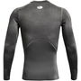 Armour HeatGear® Long Sleeve Mens