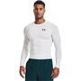 Armour HeatGear® Long Sleeve Mens