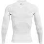 Armour HeatGear® Long Sleeve Mens