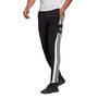 Squadra Pant