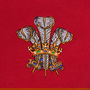 Help 4 Heroes Wales Long Sleeve Rugby Jersey Mens