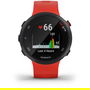 Forerunner 45S GPS Watch