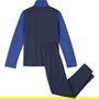 NSW Poly Tracksuit Juniors