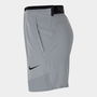 Pro Dri FIT Flex Rep Mens Shorts