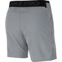 Pro Dri FIT Flex Rep Mens Shorts