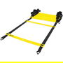 Quick Ladder Pro