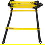Quick Ladder Pro
