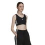 3 Stripes Crop Top With Removable Pads