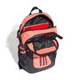 Power VI Backpack Unisex