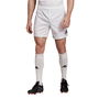 Mens Rugby Shorts