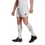 Mens Rugby Shorts