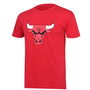 Chicago Bulls Logo T Shirt Mens