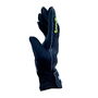 Match Goalkeeper Gloves