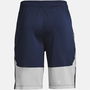 2.0 Shorts