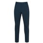 Mens Trekking Pants