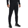 Armour UA Challenger Pants Mens