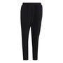 Terrex MT Track Bottoms Mens