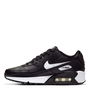 Air Max 90 LTR Big Kids Trainers