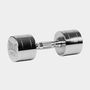 Chrome Dumbbell