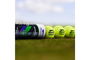 Wimbledon Tennis Balls (tube of 4)