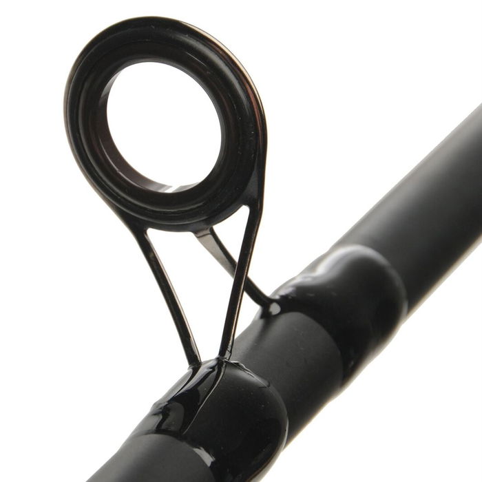 Carp Rod