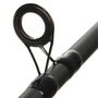 Carp Rod