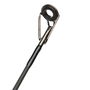 Carp Rod